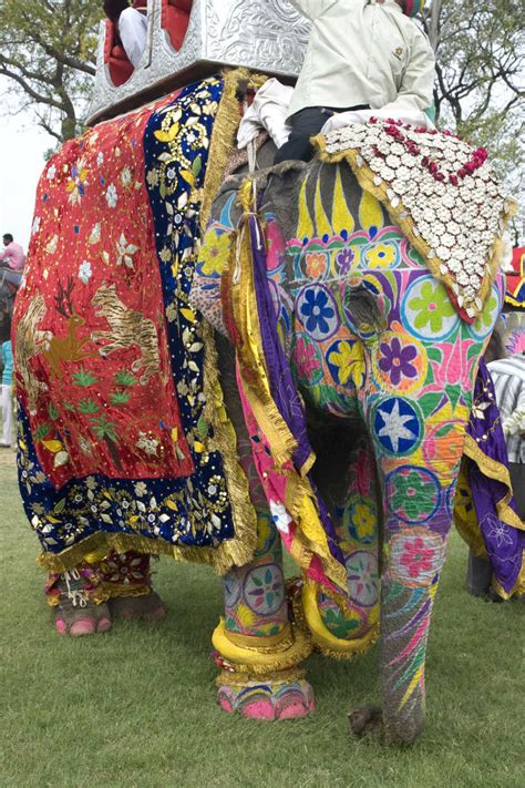 印度大象意義 台光意思